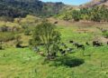 Estratégias do agro para reduzir dependência do adubo importado