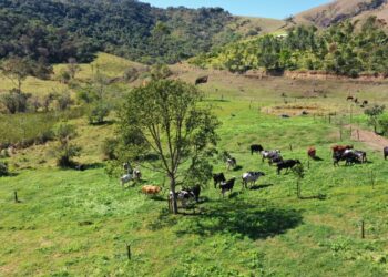 Estratégias do agro para reduzir dependência do adubo importado