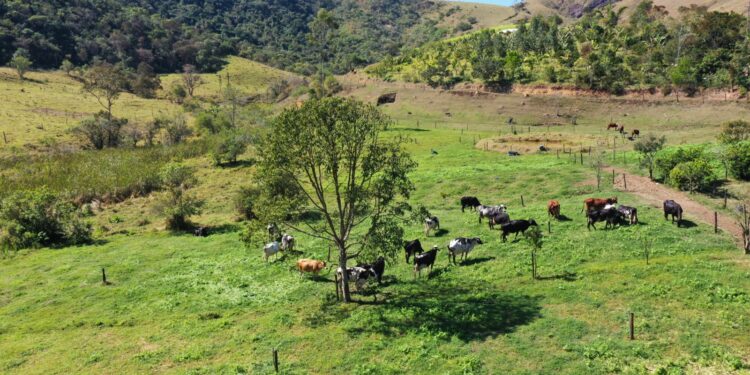 Estratégias do agro para reduzir dependência do adubo importado
