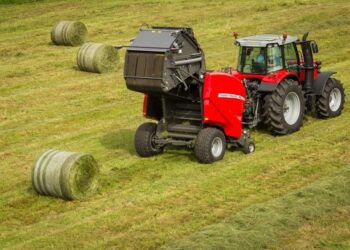 Produção de feno cresce como investimento estratégico para a pecuária