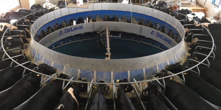 Gestão de riscos ganha espaço na atividade leiteira com avanço dos contratos futuros