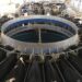 Gestão de riscos ganha espaço na atividade leiteira com avanço dos contratos futuros