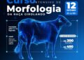 Girolando abre inscrições para competições de animais e cursos na 4ª Expoleite