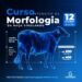 Girolando abre inscrições para competições de animais e cursos na 4ª Expoleite