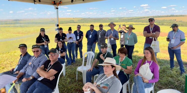Evento do Sistema FAEP reuniu produtores, estudantes e técnicos para demonstrar, na prática, técnicas de conservação e recuperação do solo predominante no Noroeste do Paraná
