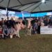 Raça Holandesa mostra evolução genética e consagra criadores na Expointer