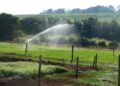 Programa conecta produtores rurais do Nordeste à linhas de crédito para investimentos em irrigação