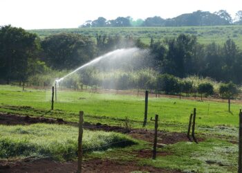 Programa conecta produtores rurais do Nordeste à linhas de crédito para investimentos em irrigação