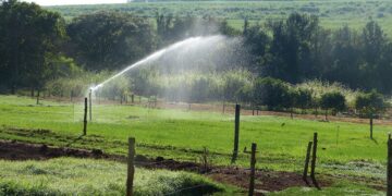 Programa conecta produtores rurais do Nordeste à linhas de crédito para investimentos em irrigação