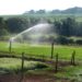 Programa conecta produtores rurais do Nordeste à linhas de crédito para investimentos em irrigação