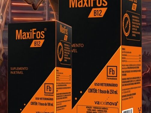 Vaxxinova e Farmabase ampliam parceria com lançamento do MaxiFos B12 para a pecuária