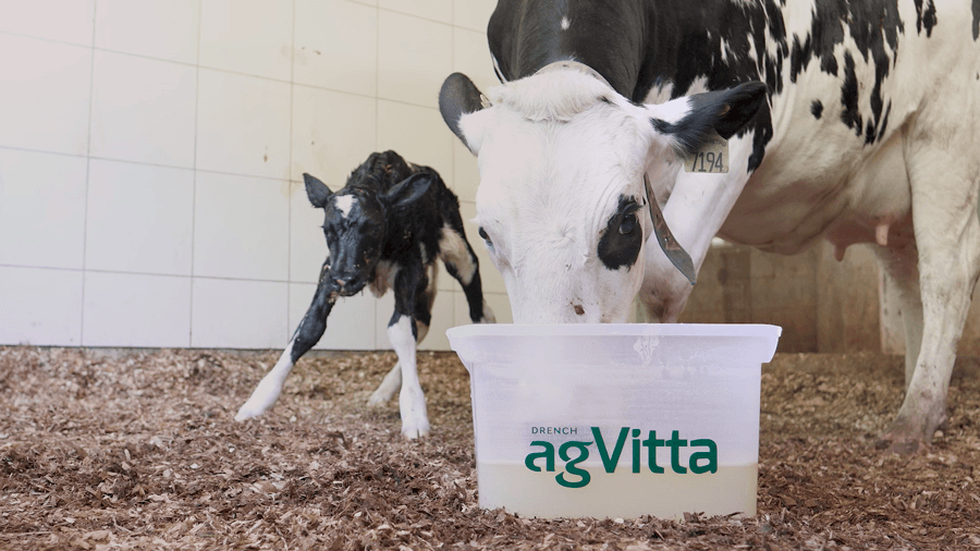 Agroceres Multimix lança agVitta, produto que garante mais vitalidade já no primeiro dia pós-parto 1 agVitta foto release