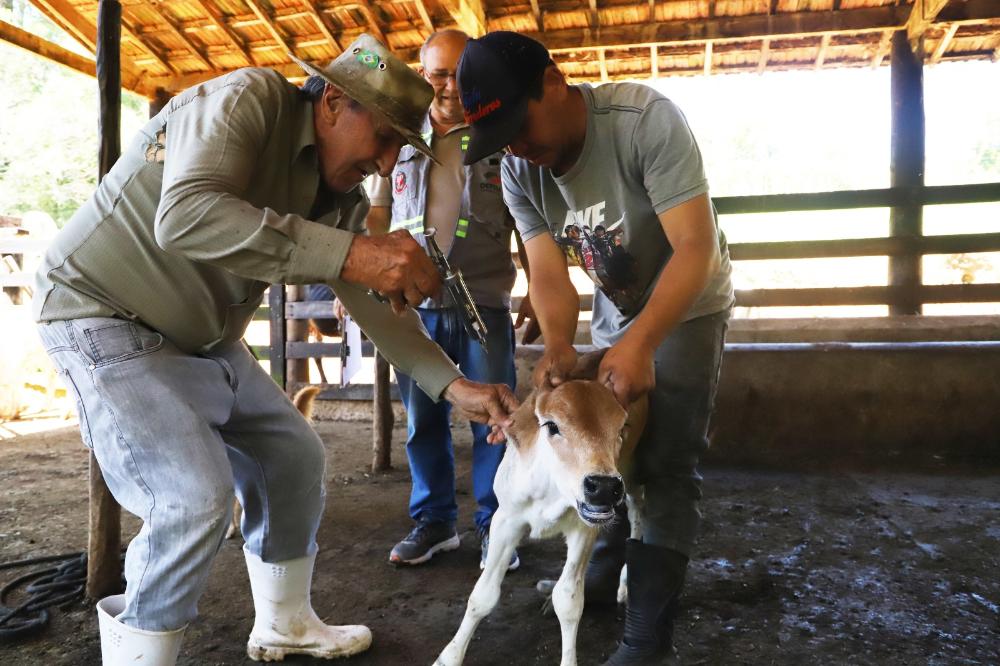 Márcio Nery assume presidência da Asbia – Revista Rural