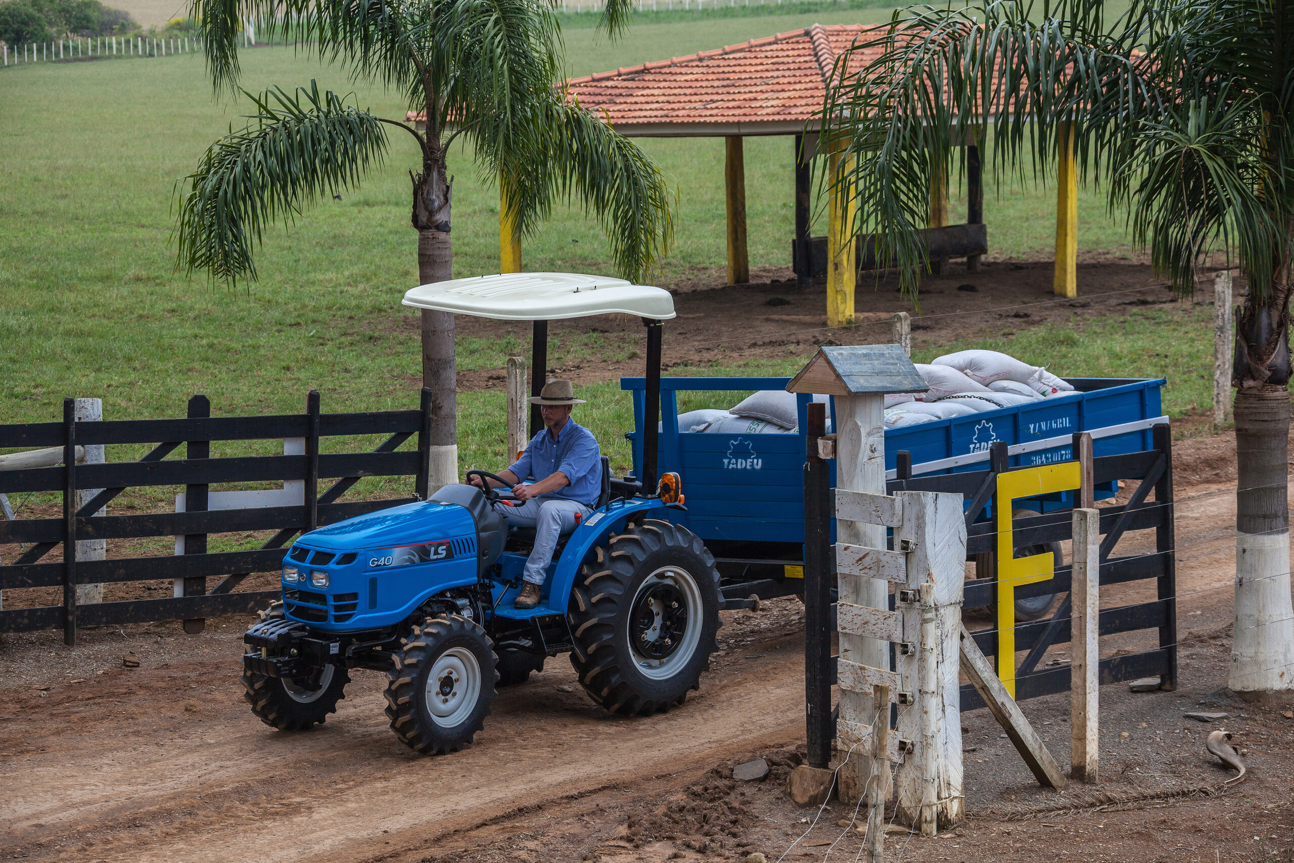 Renda média dos produtores rurais do Sul de Minas Gerais apresenta queda