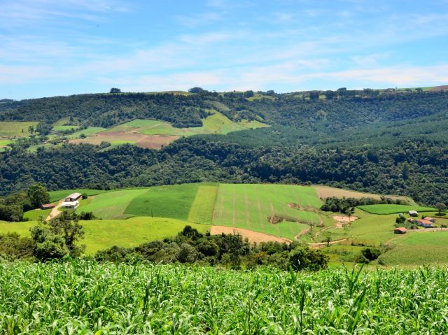 Levantamento da Epagri/Cepa mapeia preço das terras agrícolas em Santa Catarina