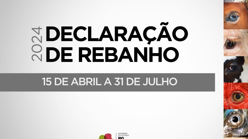 Rio Grande do Sul: prazo para Declaração Anual de Rebanho termina na próxima quarta-feira (31/7)