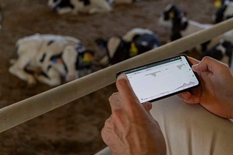 Inteligência de dados é força propulsora da saúde das bezerras