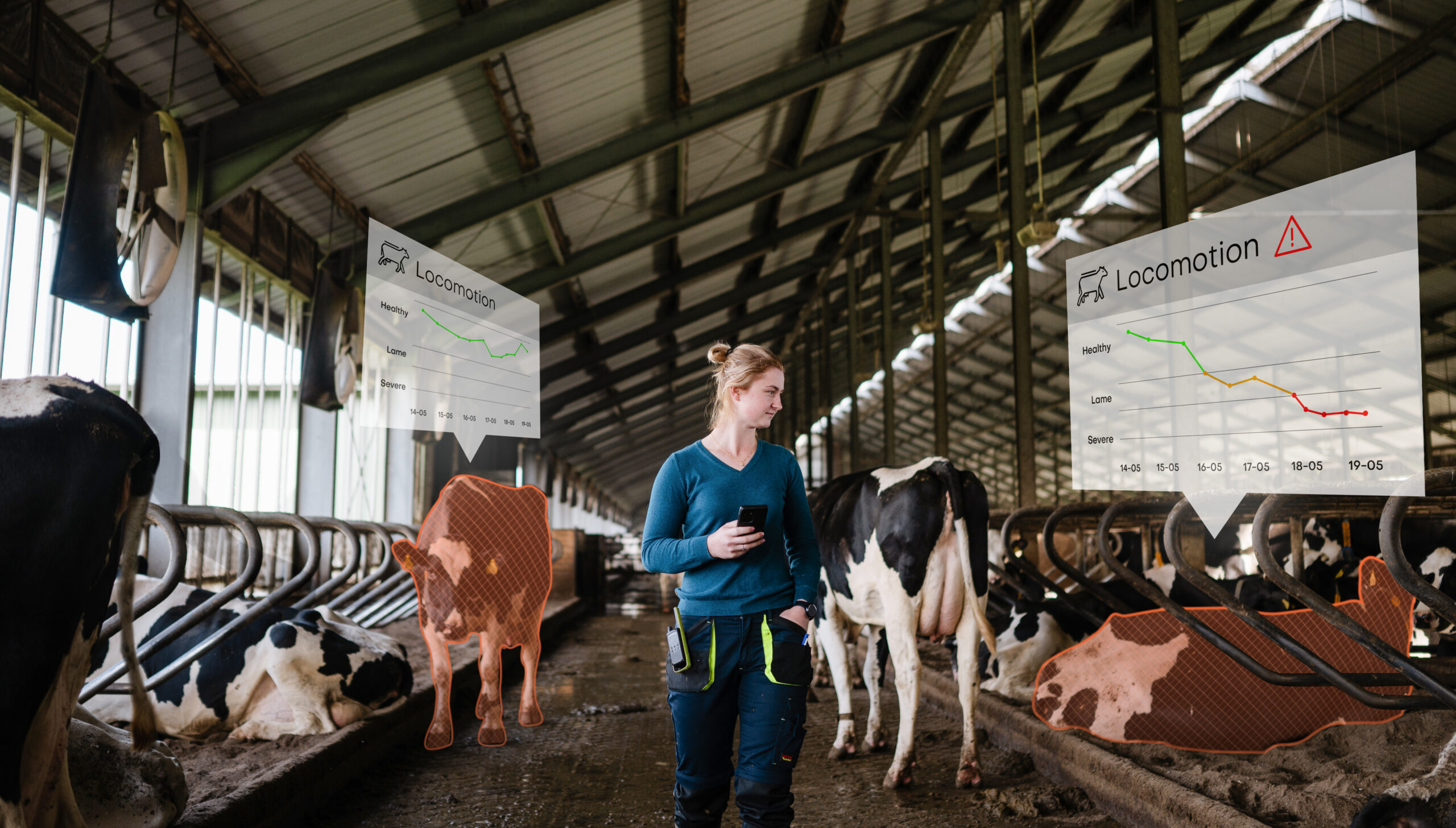 Nedap oferece nova tecnologia que detecta claudicação em vacas de forma precoce com uso de inteligência artificial