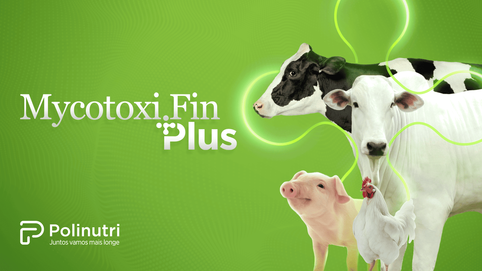 MycotoxiFin Plus