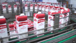 leite UHT na alimentação infantil