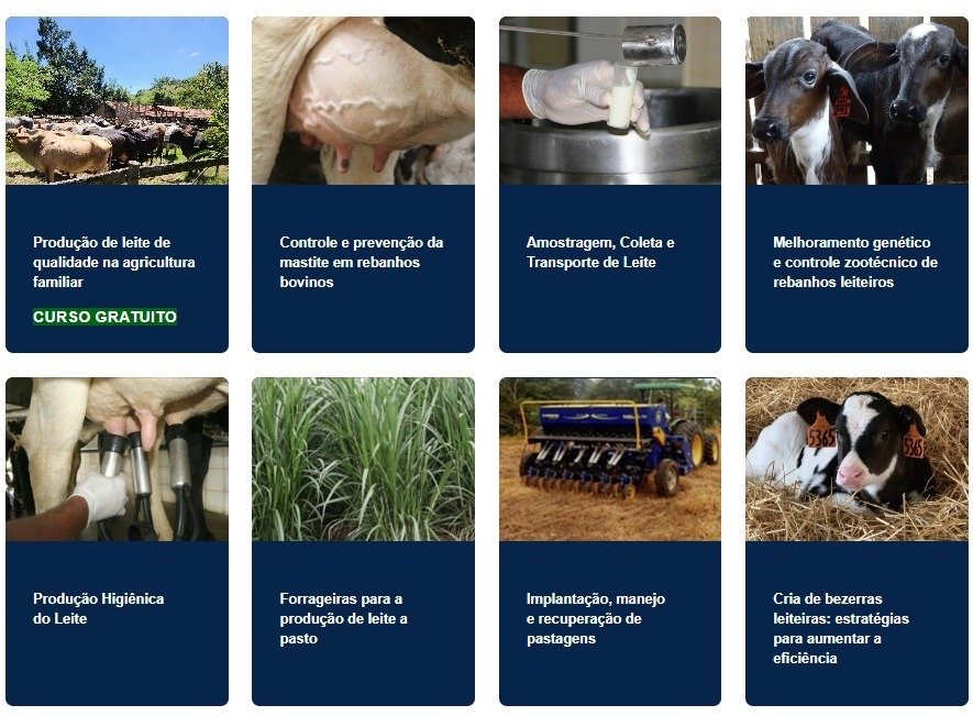 cursos EaD Embrapa Gado de Leite