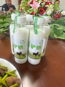 Leite de jumenta tem grande procura na Asia e Europa