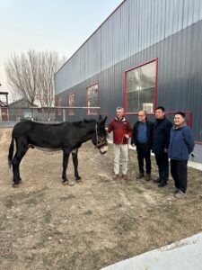 WhatsApp Image 2026 02 11 at 14.25.35 2