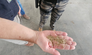 6a5b3e19 434a 48ae 92e8 1a901d2fc4fc