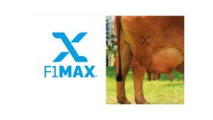 F1Max ABCZ portalbaldebranco2026 1