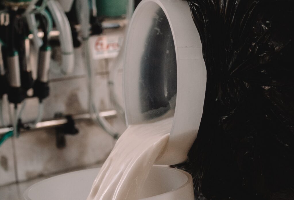 Produção cresce no Brasil e laticínios investem em tecnologia para aumentar eficiência e evitar desperdícios