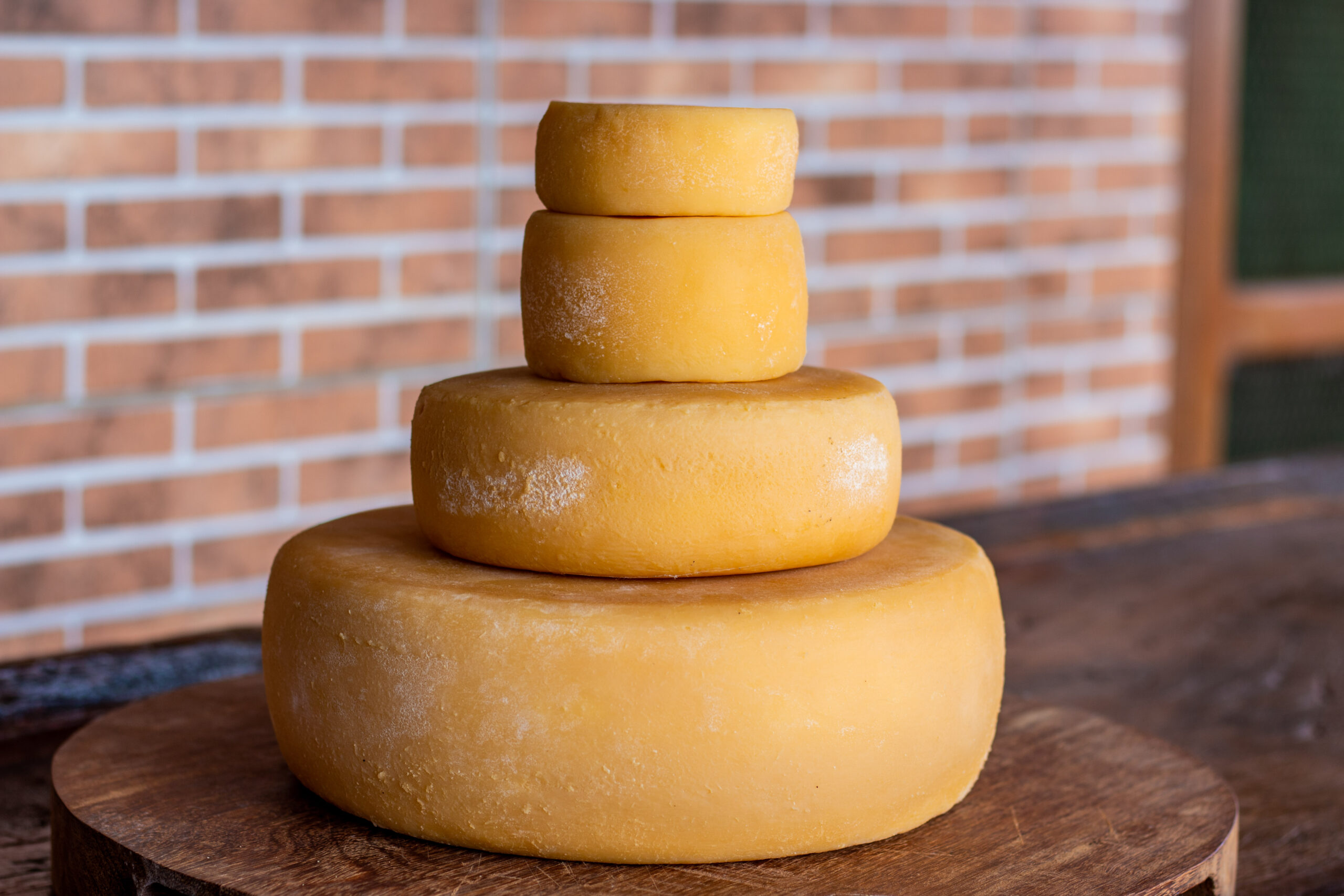 50057599446 30811d86b2 o scaled