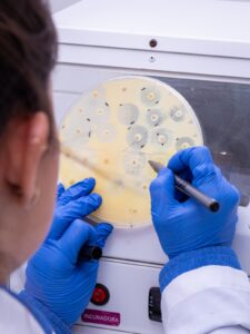 WhatsApp Image 2026 04 07 at 17.30.17 2