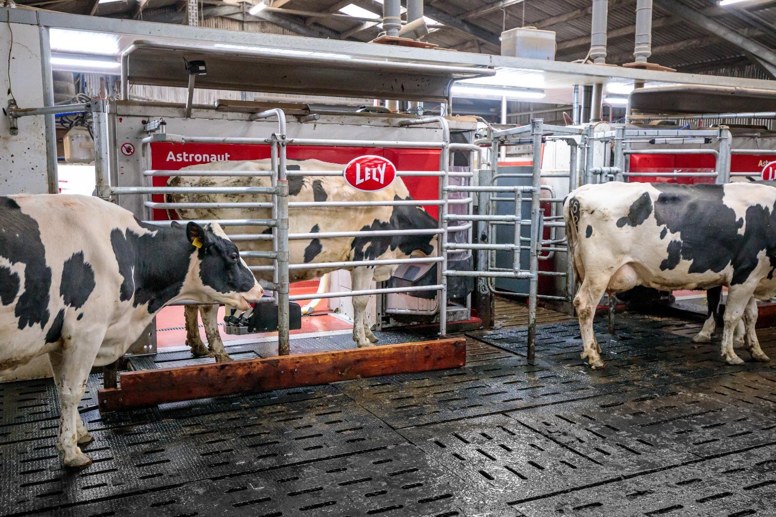 WhatsApp Image 2026 04 17 at 08.20.43 1