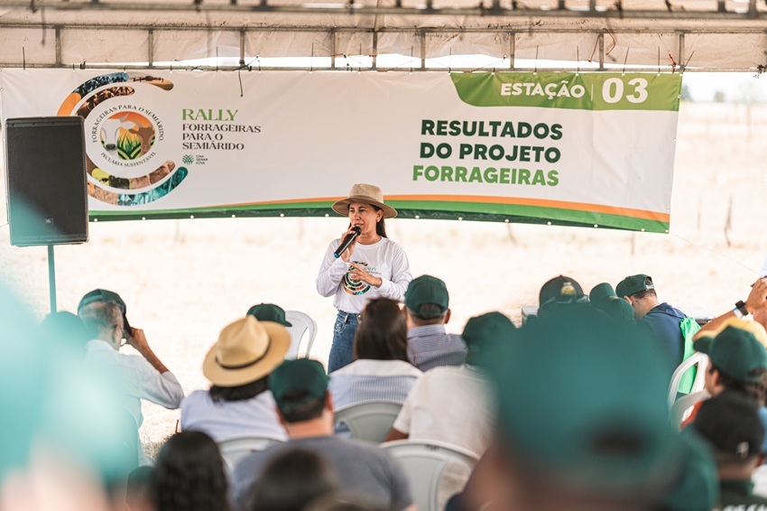 Balde Branco 7 ale rally al