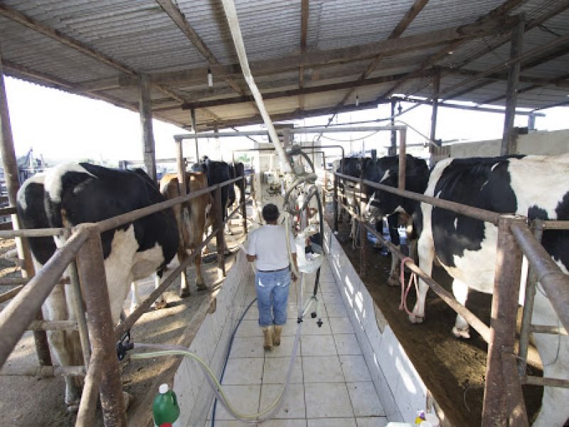 Efeitos-da-pandemia-no-mercado-de-trabalho-rural-PortalBaldeBranco2020